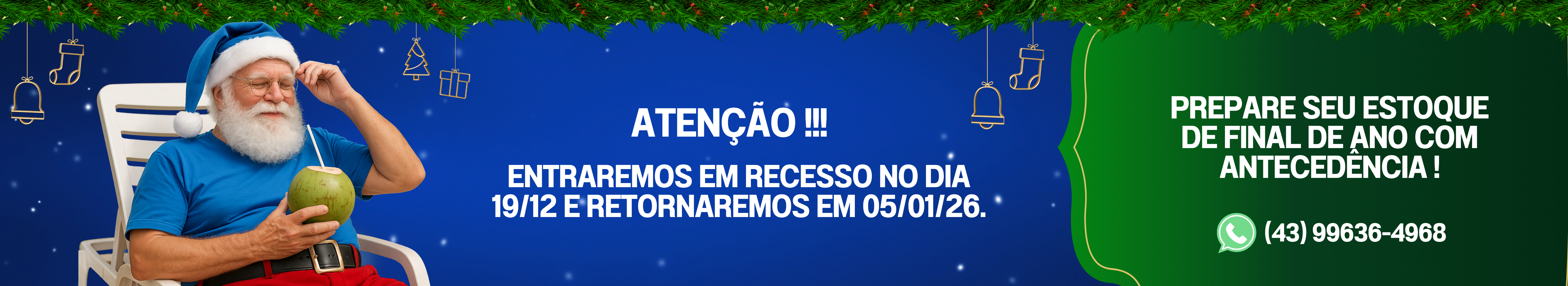 Recesso natal